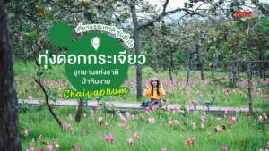ทุ่งดอกกระเจียว, อุทยานแห่งชาติป่าหินงาม, ชัยภูมิ, เที่ยวธรรมชาติ, หน้าฝน, ถ่ายรูปดอกไม้