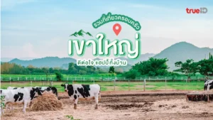 เช็กอิน, 7 ที่เที่ยว, เขาใหญ่, ครอบครัว, สนุก, ชิล, เด็กฟิน, ผู้ใหญ่ชอบ