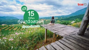 ที่เที่ยว, ทุ่งนา, วิวสวย, นาขั้นบันได, สะพานไม้, เที่ยวหน้าฝน, สดชื่น