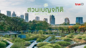 สวนเบญจกิตย์, ที่เที่ยวกรุงเทพ, สวนสาธารณะ, ฟีลกู๊ด, กลางเมืองกรุง