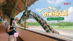 ซาฟารีเวิลด์, ที่เที่ยว, วันหยุด, สวนสัตว์, กรุงเทพ, คิ้วท์